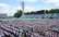 Daugavas stadionā lietus un zibens dēļ tiek pārtraukts deju lielkoncerts "Es atvēru Laimas dārzu"