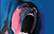 PINK FLOYD THE WALL /  KONCERTS  UN FILMA /