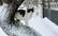 Vēršiem izdošanās mīsies ar aplaušanos, Skorpioni var savārīt ziepes – 9. janvāra horoskops