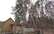 "Pats zāģēt nevaru! Iesēdinās!" Kaimiņos vētras izrautas priedes apdraud Armanda māti un namu