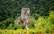 Eiropas pasakaināko ceļojumu galamērķu tops, kurā pirmo reizi iekļauta arī Rīga