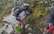 Sērija 8