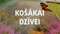 Košākai dzīvei