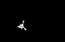 Eiropas zonde Philae veiksmīgi nolaidusies uz komētas