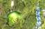 Rīgā atrasta pirmā citplanētiešu egle