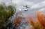Uz Argentīnu, kur bojā gājušas trīs sporta zvaigznes, Francija nosūta savus izmeklētājus