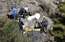 Pēc Germanwings katastrofas ieviesīs jaunus drošības pasākumus lidmašīnās