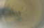 VIDEO: Vēlies, lai Tev sagriežas vēders?