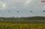 Nesatraucies, ja uz ceļa redzi tanku vai gaisā helikopteru ! Notiek militārās mācības