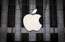 Ķīnā arestē vērienīgu Apple viltojumu ražotni