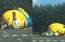FOTO: milzu minions bloķē satiksmi Dublinā