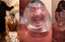 Pasauli pārņēmis Condom Challenge jeb prezervatīva izaicinājums. Ko tas nozīmē?