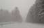 FOTO: Visā Latvijas teritorijā "ziemas pasaka" saputinājusi ceļus; šoferi brauc ar 40 km/h