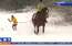 VIDEO: enerģiskā Kristīne Garklāva pirmo reizi izmēģina skijoringa priekus