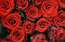 No puķēm vismīļākās… Ziedu tirgotāji briest Visu mīlētāju dienai