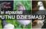 TESTS: uzzini, vai tu atpazīsti putnu pavasara dziesmas!