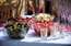 Gastronomijas festivālā restorānos īpaši piedāvājumi un atlaides