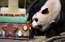 Pandas mazulis izpilda senu ķīniešu zīlēšanas tradīciju; tas, ko viņš izvēlējās, nesīs viņam veiksmi