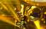 Skaties uzmanīgi – šo priekšnesumu vērojot, Reinikam sareiba galva