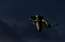 Latvieši būvēs snovborda trasi olimpiskajām spēlēm Dienvidkorejā