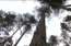 Tuvinieki izmisumā: bēgot no mediķiem, Engures novadā pazudis pensionārs