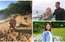Saimnieki, mēs jūs atmaskojām! Nedēļa, kad šovu meiteņu mērs bija pilns