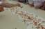 VIDEO: Itālijā uzstādīts gards Ginesa rekords