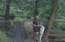 VIDEO: Matīsa kapos siro piemiņu vietu apgānītāji