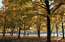 FOTO: Zelta rudens izdaiļo Rīgas parkus