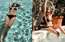 Marija Zeltiņa, lai novirzītu domas no sniega un aukstuma, publisko nebēdnīgus foto bikini