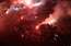 Neticami skati! Grieķijas kluba PAOK fani pēc pirmā titula 34 gadu laikā trako svinībās uz ielas