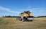 Prognozē, ka šogad graudaugu raža varētu būt lielāka