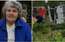 Pensionāre nav apmierināta ar tiesas lēmumu nepiedzīt 4062 eiro kompensāciju par policijas nogrieztajām kaņepēm