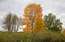 Austrumlatvijā pārspēti siltuma rekordi; Skandināvijā sals pastiprinājies līdz ‑34 grādiem