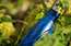 Ūdens pudeles un termokrūzes – praktiska dāvana ar vērtību