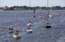 Pirmajā "Gulf of Riga Regatta 2021" sacensību dienā divās grupās uzvaru svin igauņi