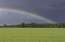 Latvijā sāksies meteoroloģiskā vasara un dažbrīd līs
