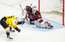 TEKSTA VIDEO TIEŠRAIDE: KHL. "Severstal" – Rīgas "Dinamo"