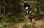 Ļaundari posta "Rīgas mežu" izveidoto Enduro taku, uzņēmums uzstādījis videokameras