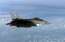 NATO paaugstina gatavību un nosūta papildspēkus uz Austrumeiropu