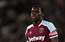 "West Ham United" soda Kurtu Zumā par nežēlīgu izturēšanos pret kaķi