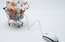 Septiņas aktuālākās tendences e‑komercijā Latvijā
