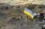 Leģendārajā Čūsku salā atkal pacelts Ukrainas karogs