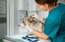 Pēkšņas pazīmes, kas liecina, ka sunim jāapmeklē veterinārā klīnika!