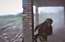 Unikāls video: kā speciālās vienības cīnās Bahmutas ielās