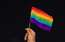 Krievija aizliedz "starptautisko LGBT kustību"