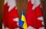 Kanāda varētu nodot Ukrainai tūkstošiem "gaiss‑zeme" raķešu