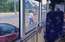 Sirsnīgs stāsts no Rīgas. Autobusa šoferis bloķē satiksmi, lai izglābtu vārnu mazuli