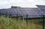 "Latvenergo" iegādājies Cīravas saules enerģijas parka attīstītāju "DSE Aizpute Solar"