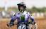 Reišulis Sardīnijā ierindojas labāko astotniekā "Grand Prix" MX2 klasē